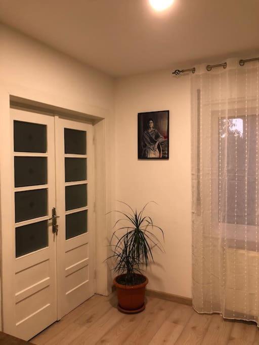 Casa Cu Trandafiri Βίλα Μπάια Μάρε Εξωτερικό φωτογραφία